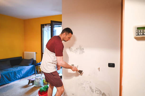 Best Toxic Mold Removal  in Nissequogue, NY